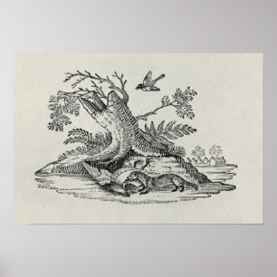 Civet med ungtuppen från 'historia av Quadrupeds Poster