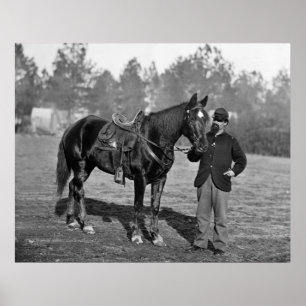 Civil Krig Horse, 1864 Poster