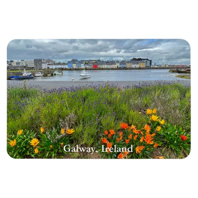 Claddagh (Galway Bay) i Galway, Irland Magnet (Horisontell)