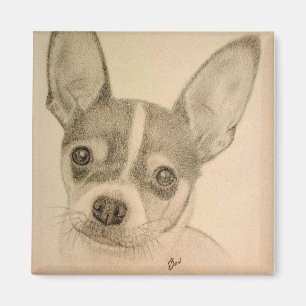 Claire den Teddy Roosevelt Terriermagneten Magnet