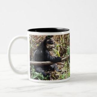 Clairs Coya mugg