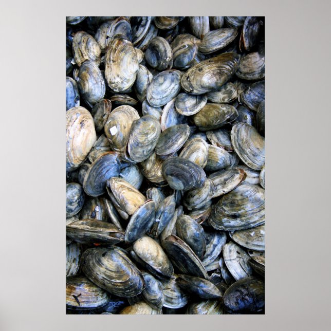 Clam Bake Poster (Framsidan)