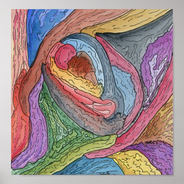 Clam Claw Poster (Framsidan)