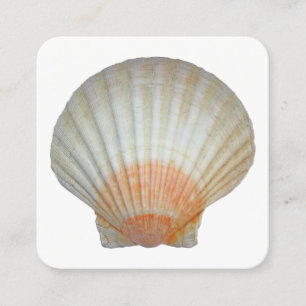 Clam-Snäcka Fyrkantigt Visitkort