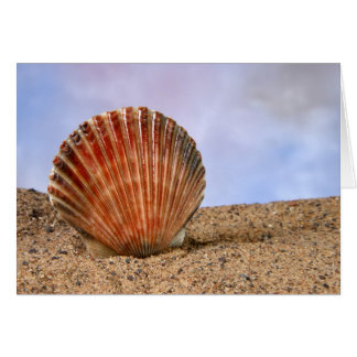 Clam snäcka hälsningskort