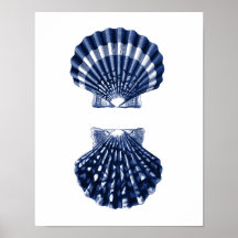 Clam Snäckas Navy Beach Decor