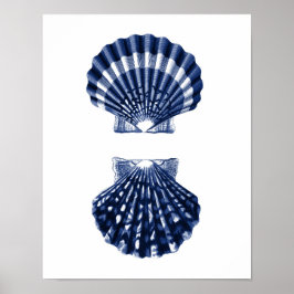 Clam Snäckas Navy Beach Decor Poster