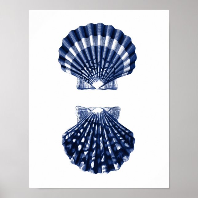Clam Snäckas Navy Beach Decor Poster (Framsidan)