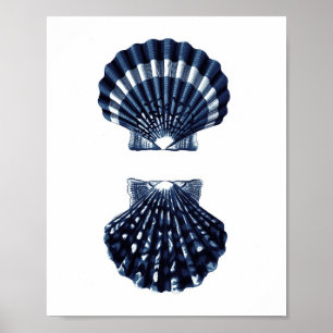 Clam Snäckas Navy Blue Beach Decor Poster