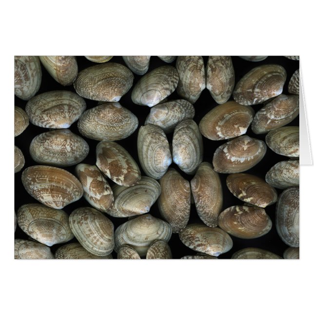 Clam snäckas OBS kort (Framsidan Horizontal)