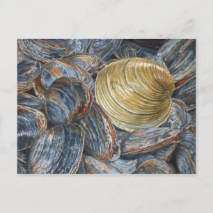 Clams och Quahog konst vykort
