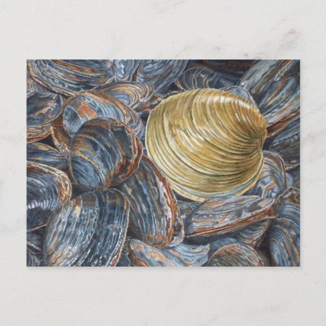 Clams och Quahog konst vykort (Framsida)