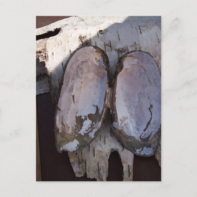 Clamshell Angel Birchbark Photography Art Vykort (Framsida)