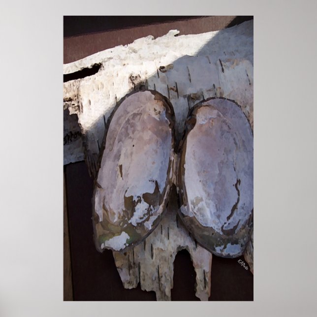 Clamshell Vingar Poster (Framsidan)