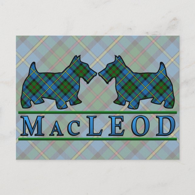 Clan MacLeod Tartan Scottie Hundar Vykort (Framsida)