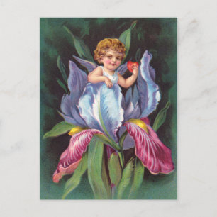 Clapsaddle: Flower Cherub Iris Vykort