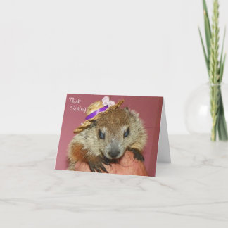 Clara Groundhog dagkort Kort
