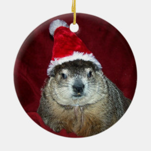 Clara Groundhog prydnad 2 Julgransprydnad Keramik