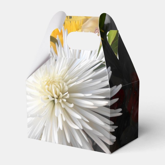 Clarica Presentaskar (Framsidan Sidan)