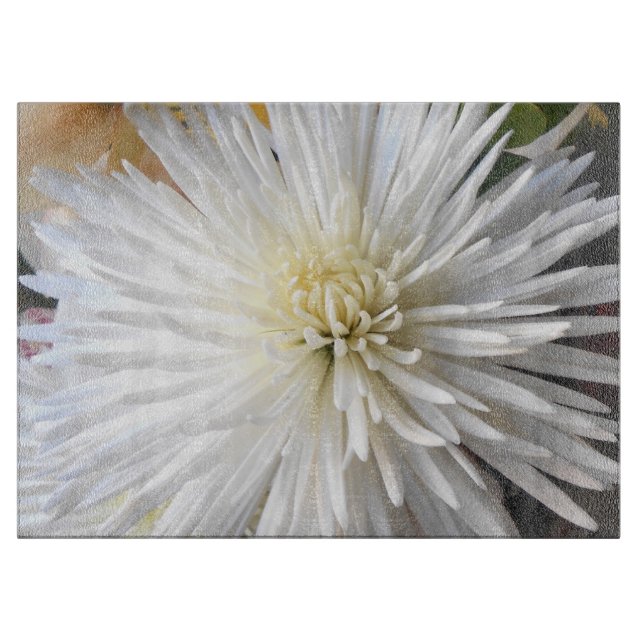 Claricia (Framsidan)