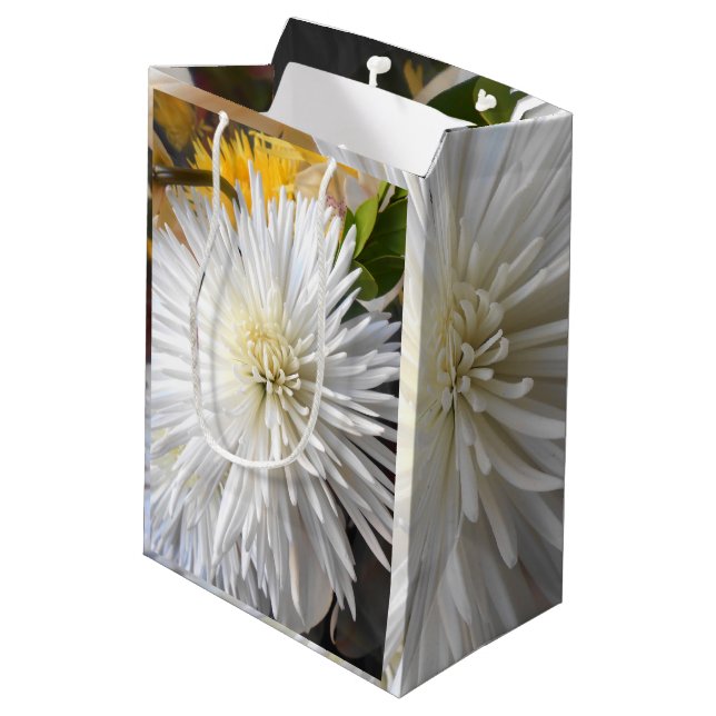 Claricia (Baksidan Vinklad)