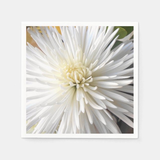 Claricia Pappersservett (Framsidan)