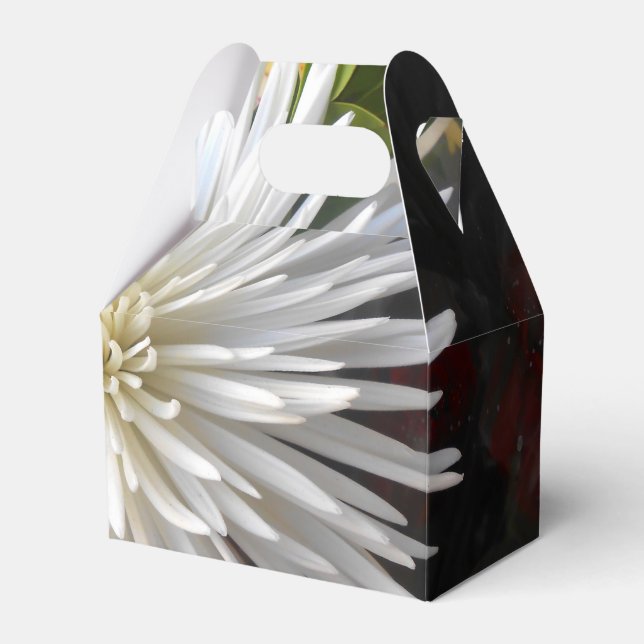 Claricia Presentaskar (Framsidan Sidan)