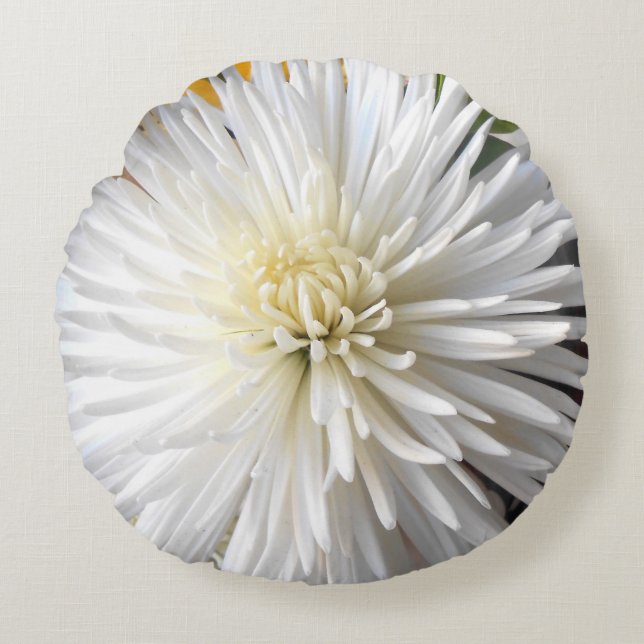 Claricia Rund Kudde (Framsidan)