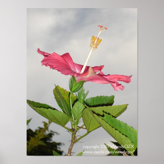 Clarion Poster (Framsidan)