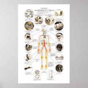 Clark Dental Health Chart for Dentist Poster