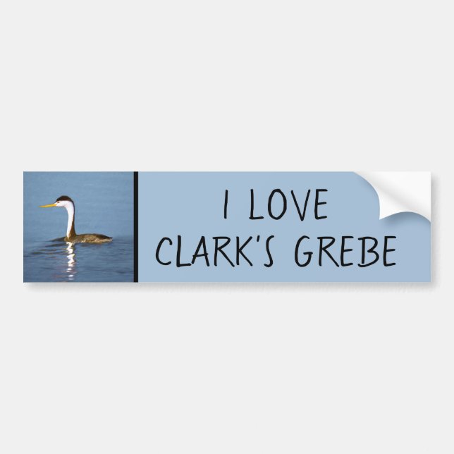 Clark Grebe Painting - Original Bird Art Bildekal (Framsidan)
