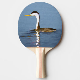 Clark Grebe Painting - Original Bird Art Pingisracket