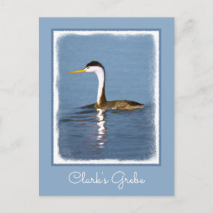 Clark Grebe Painting - Original Bird Art Vykort