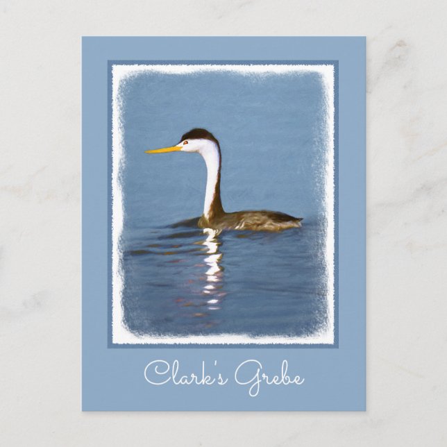 Clark Grebe Painting - Original Bird Art Vykort (Framsida)