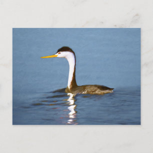 Clark Grebe Painting - Original Bird Art Vykort