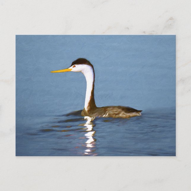 Clark Grebe Painting - Original Bird Art Vykort (Framsida)
