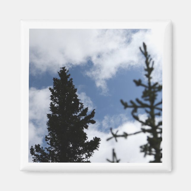 Clark's Nutcracker 2 x 2 magnet (Framsidan)