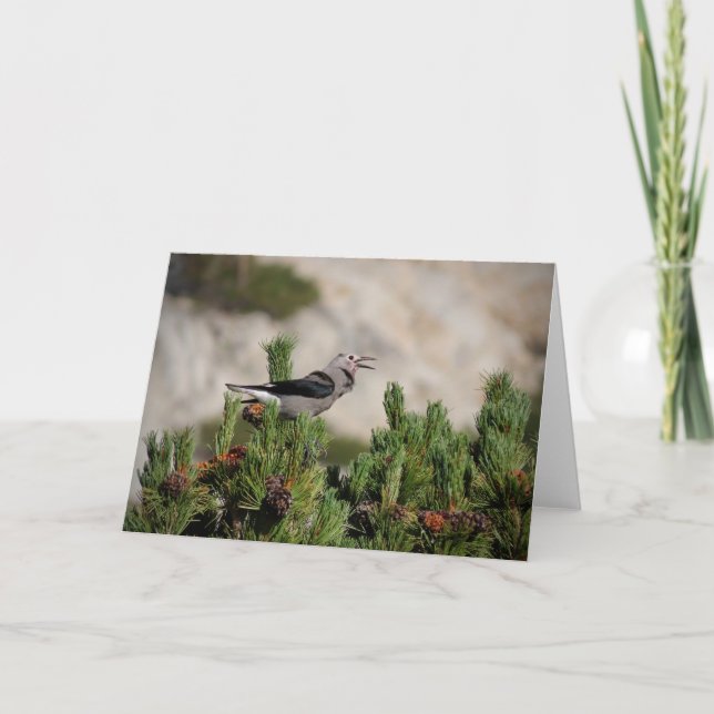 Clark's Nutcracker - Yosemite Tack Kort (Framsida)