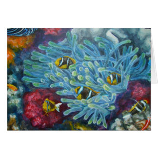 clarksclownfish med anemonen OBS kort