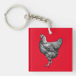 Classic Barred Plymouth Sten Chicken Hen