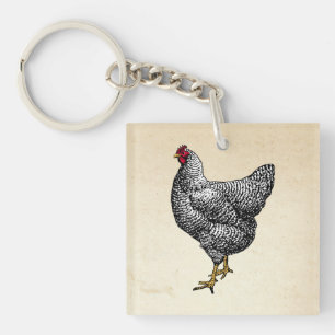 Classic Barred Plymouth Sten Chicken Hen