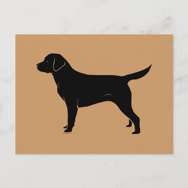 Classic Black Labrador Retriever Silhouette Vykort (Framsida)