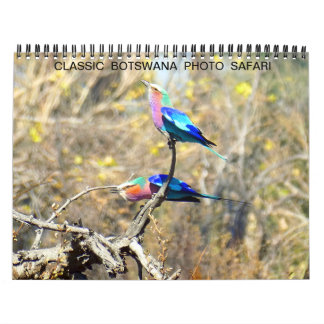 CLASSIC BOTSWANA PHOTO SAFARI KALENDER