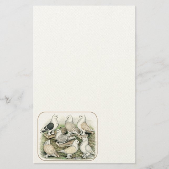 Classic Frill Pigeons Satinettes Brevpapper (Framsida)