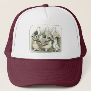 Classic Frill Pigeons Satinettes Keps