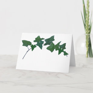 Classic Grönt English Ivy Kort