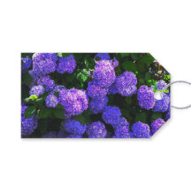 Classic Lila Realistic Hydrangea Gift Märkre