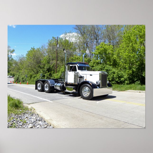 Classic Nål Nose Pete Poster (Framsidan)