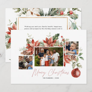 Classic Poinsettia & Greenery   Julfoto