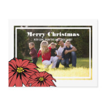 Classic Poinsettia Helgdag Photo